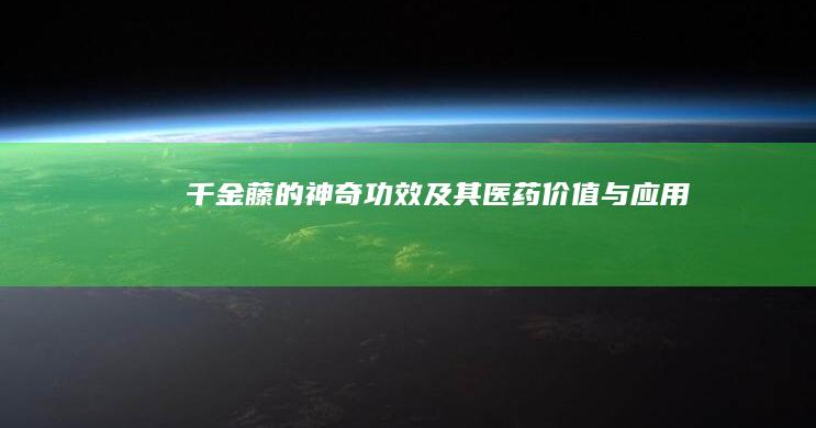 千金藤的神奇功效及其医药价值与应用